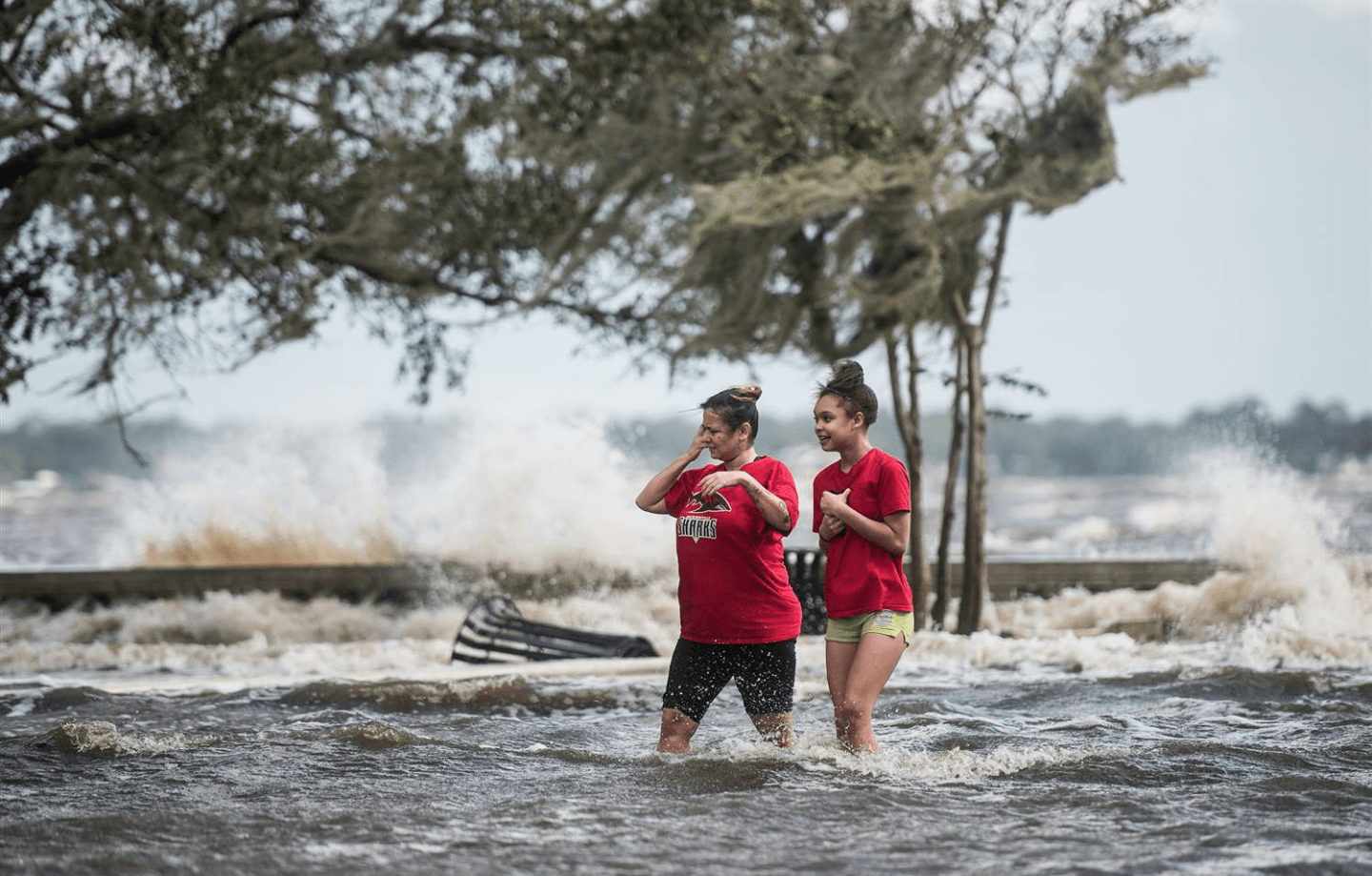 wp-image--1948841332